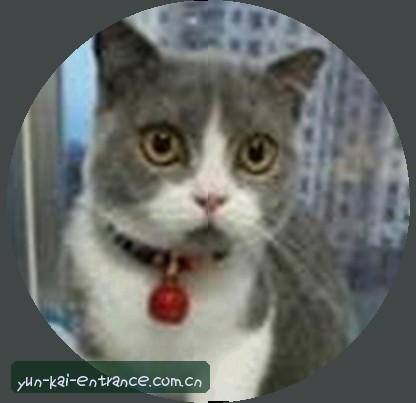 王悦